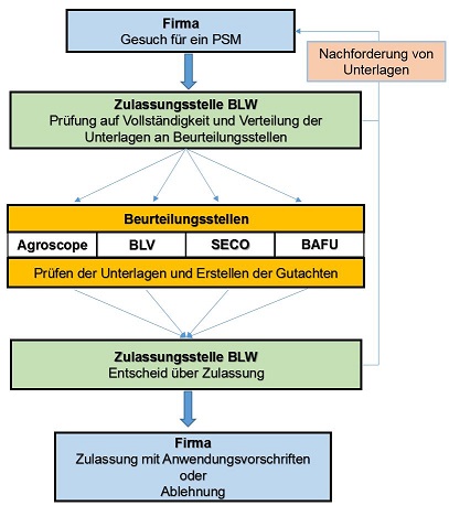 Schema Zulassungsverfahren (Quelle: https://www.blw.admin.ch/blw/de/home/nachhaltige-produktion/pflanzenschutz/aktionsplan/zulassungsverfahren.html)